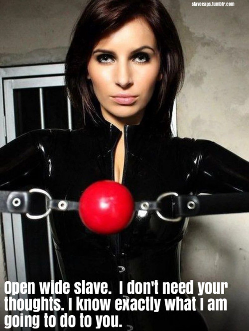 slavecaps:  slave captions chastity sissy porn pictures