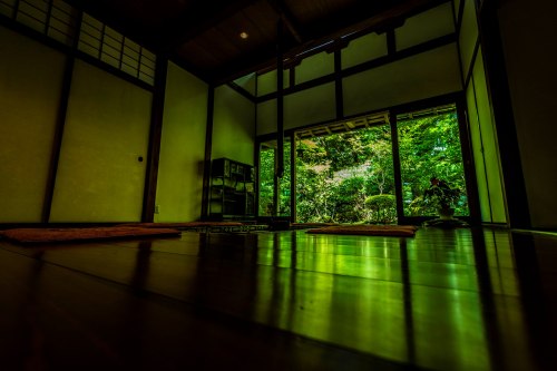 Soothing scenery at the Hosenin temple (Kyoto), by @v0_0v______mkI just love how smooth and shiny th