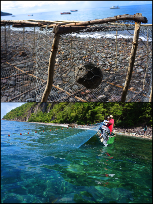 Fishing life. Dominica. 2015.