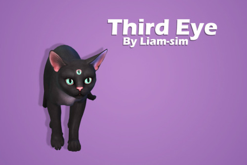 liam-sim: Third Eye:Because now your cat can see you soul.Download: SFS (no ad-fly)For Cats only.Hat