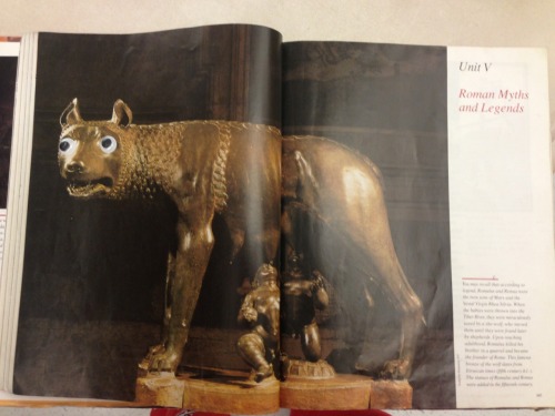 quidquididest:whoopsloser:Someone put googly eyes in my Latin textbook this is quite possibly the be