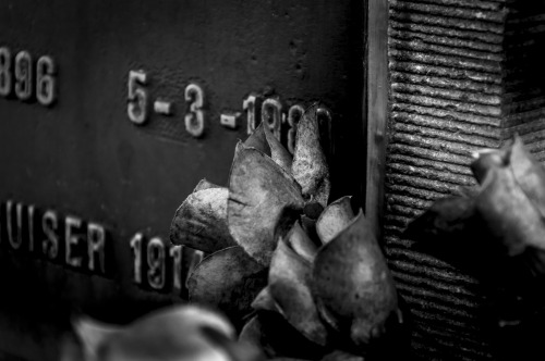 laupgraphy:  School project.
