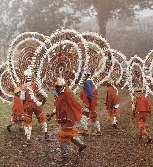 equatorjournal:Quetzal dancers on their way to church. San Andrés Tzicuilan, 1969.From the book “Beh