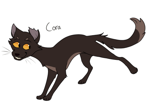 #cora#skyclan#warrior cats#firestars quest#skyclans destiny#hawkwings journey#warriors #every cat challenge tag #sticks group