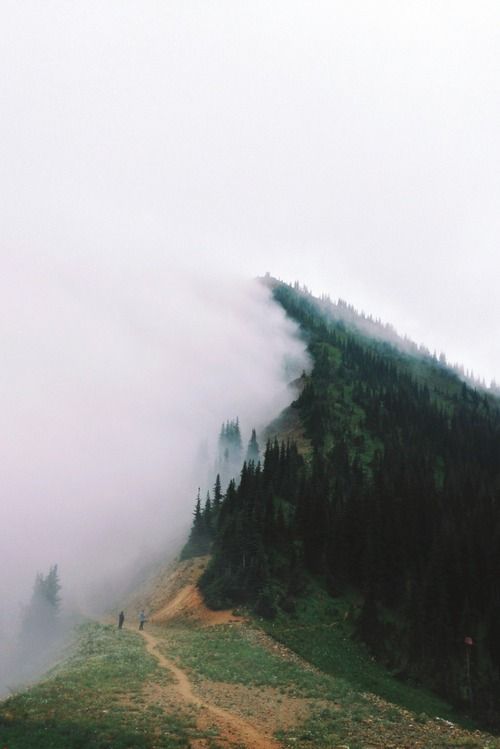 calms:  nature/vintage blog        
