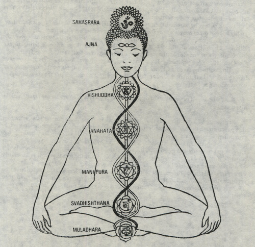 altered-statuses: The Complete Book of Yoga, by Sri Ananda, New Delhi: Vision Books, 1980(1982), p25