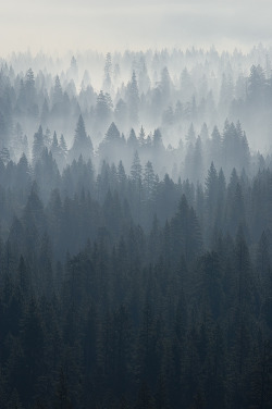 cerceos: Frederic Labaune Yosemite morning