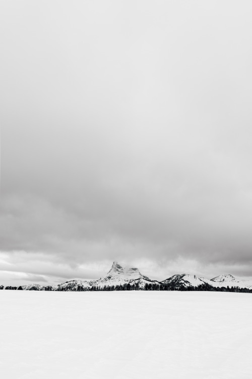 arthurchang:  Winter Life Big Sky, MT and Yellowstone National park // Sony RX1r A collection of black and white photographs from my recent trip to Montana and Yellowstone National Park in December 2015. 