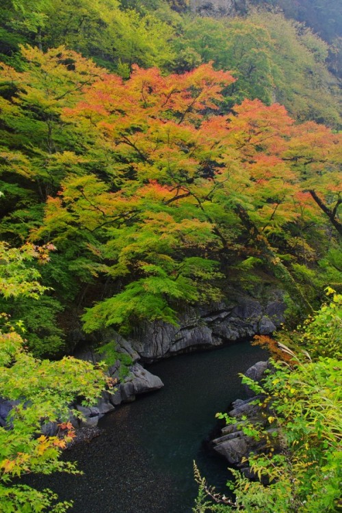 ponderation:  looking down at the valley(2) by Yasuhiro BB 