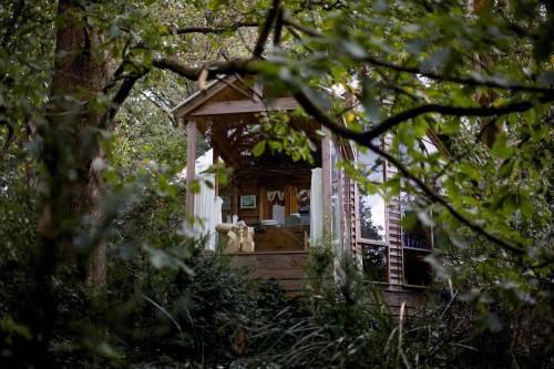 oceaniatropics: Treehouse Cottage, Olinda, Victoria, Australia