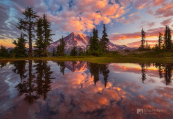 esteldin:  Mount Rainier Tarn Sunrise by Chip Phillips on Flickr. 