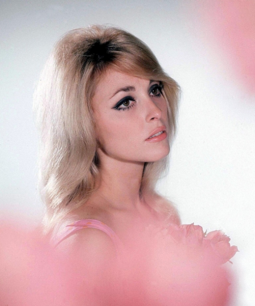 Porn o-u-i-s-c-h:  Sharon Tate.  photos