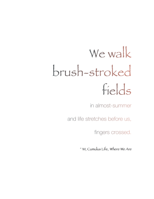 We walk brush-stroked fields …