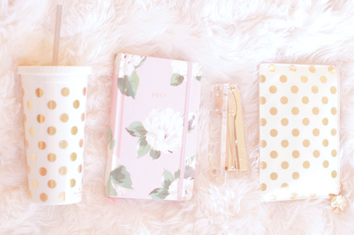 7.26.15stuff (affiliate links): dotted tumbler // acrylic stapler // dotted pencil bag // agenda