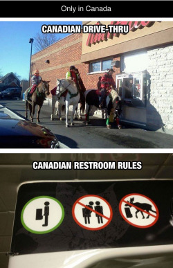 tastefullyoffensive:  Only in Canada [imgur]Previously: Bears Doing Human Things