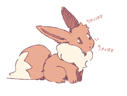 Thinking About My Cat Who HAS To Sniff Everything I'm Holding