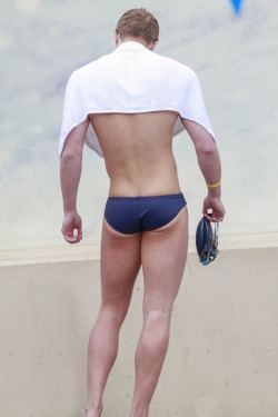 tautspeedos:  #ginger #navy #arena front