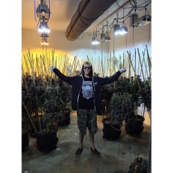 weedporndaily:Another day in paradise🌴 by @oregrown