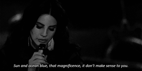 musictowatchboysto:  Black Beauty 