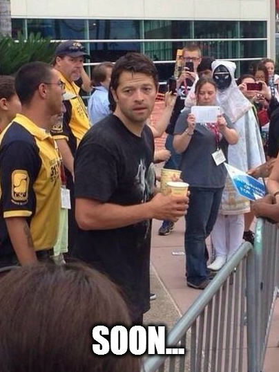 icarusthesupernaturalpig:  Dedication Level: Master Chau