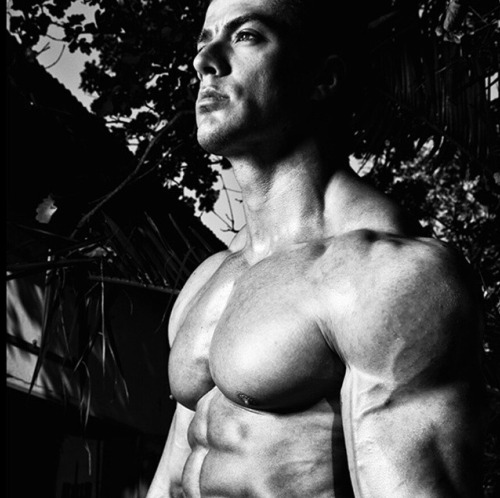 Adonis Files