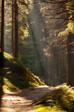 woodendreams:  (by skoeber)  Peaceful.  I