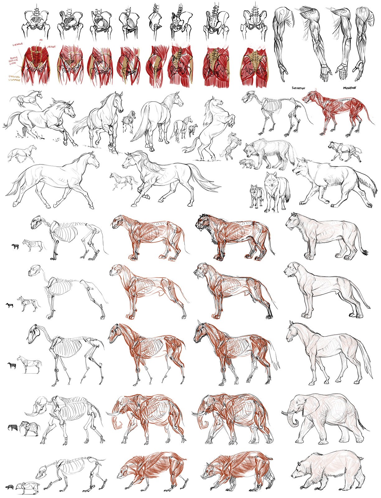 mattrhodesart:  study dump. people and animals.  