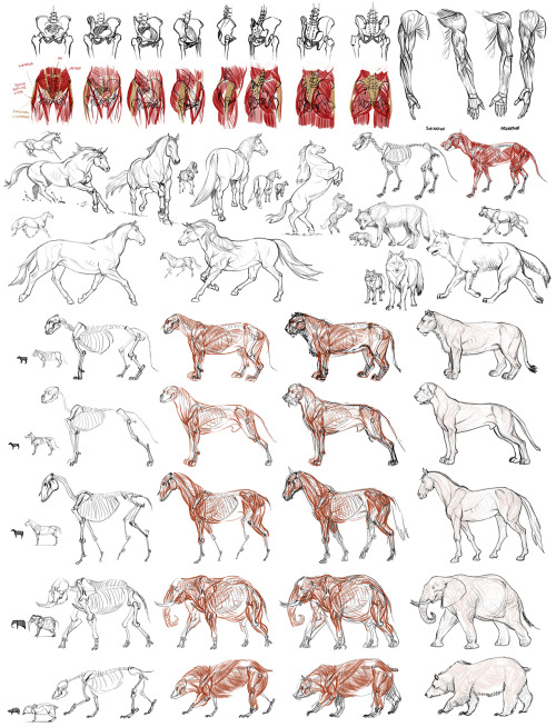 study dump. people and animals. 