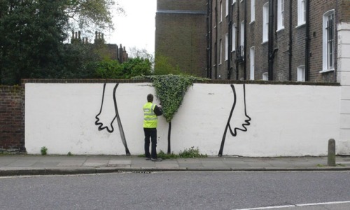 violaceae:  Banksy, Bush 