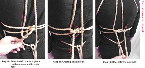 fetishweekly:  Shibari Tutorial: Lover’s Harness Video on how to tie the Coin Knot here &heart