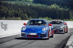 automotivated:  Which color (by Bas Fransen
