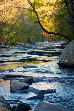 brutalgeneration:  Sope Creek by Mark Chandler Photography on Flickr.