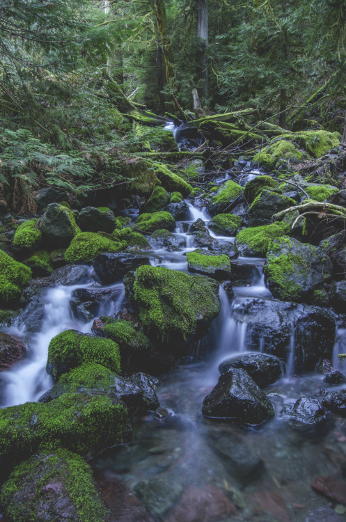 millivedderphotography:Copper Creek Flickr|Facebook|Tumblr|Society6
