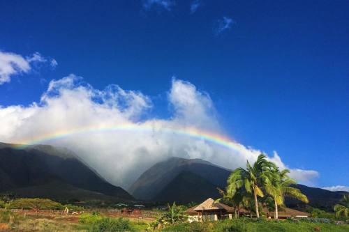 #Rainbow over the #dragonfruit farm yesterday.