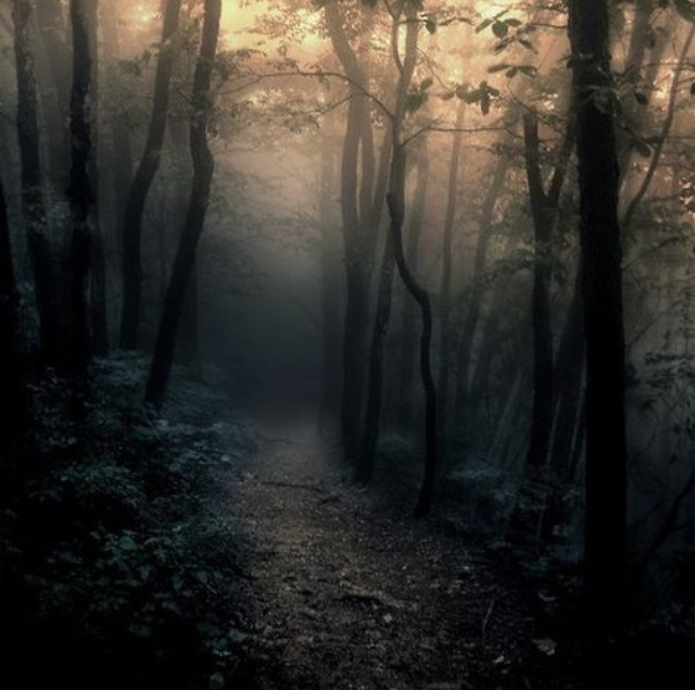 magickal-melancholy:witchydays:Witches, rise for I refuse to let you fall  ✬