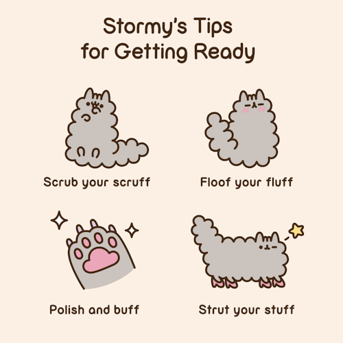 Pusheen the cat