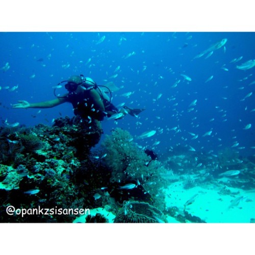 Pak Condo#shotgun #labuanbajo #cndive #komodo #flores #ntt #indonesia #scubadive #diving #underwat