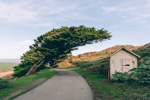 365gleit:  Point Reyes, CA February 2016 porn pictures