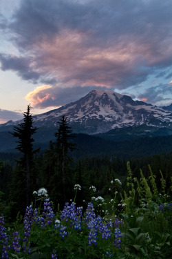 Llbwwb:  Rainier Sunset (By Patt&Amp;Amp;5) 