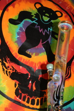 smoke-thc-drop-lsd:  dancing bears need bong