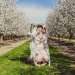 waytoomuchinformation:This is like the only tumblr safe photo I can post from my new orchard set… 😡Photo by the awesome Kayleigh Shawn