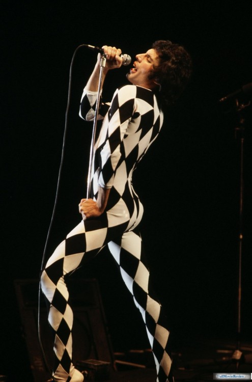 XXX laylamars:                  ♫ Freddie Mercury photo