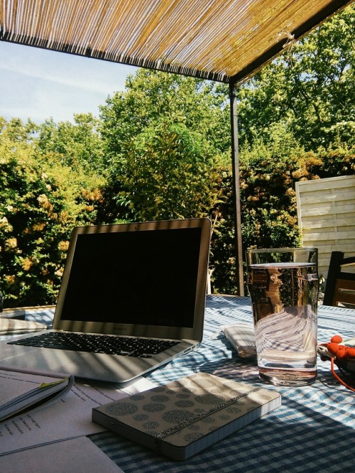 the-messyfrenchie:Studying outside was such a good idea