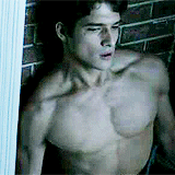 hoechlinteeth:  teen wolf alphabet | b for barechested betas: feat. topless werewolves (and danny cause why not?) 