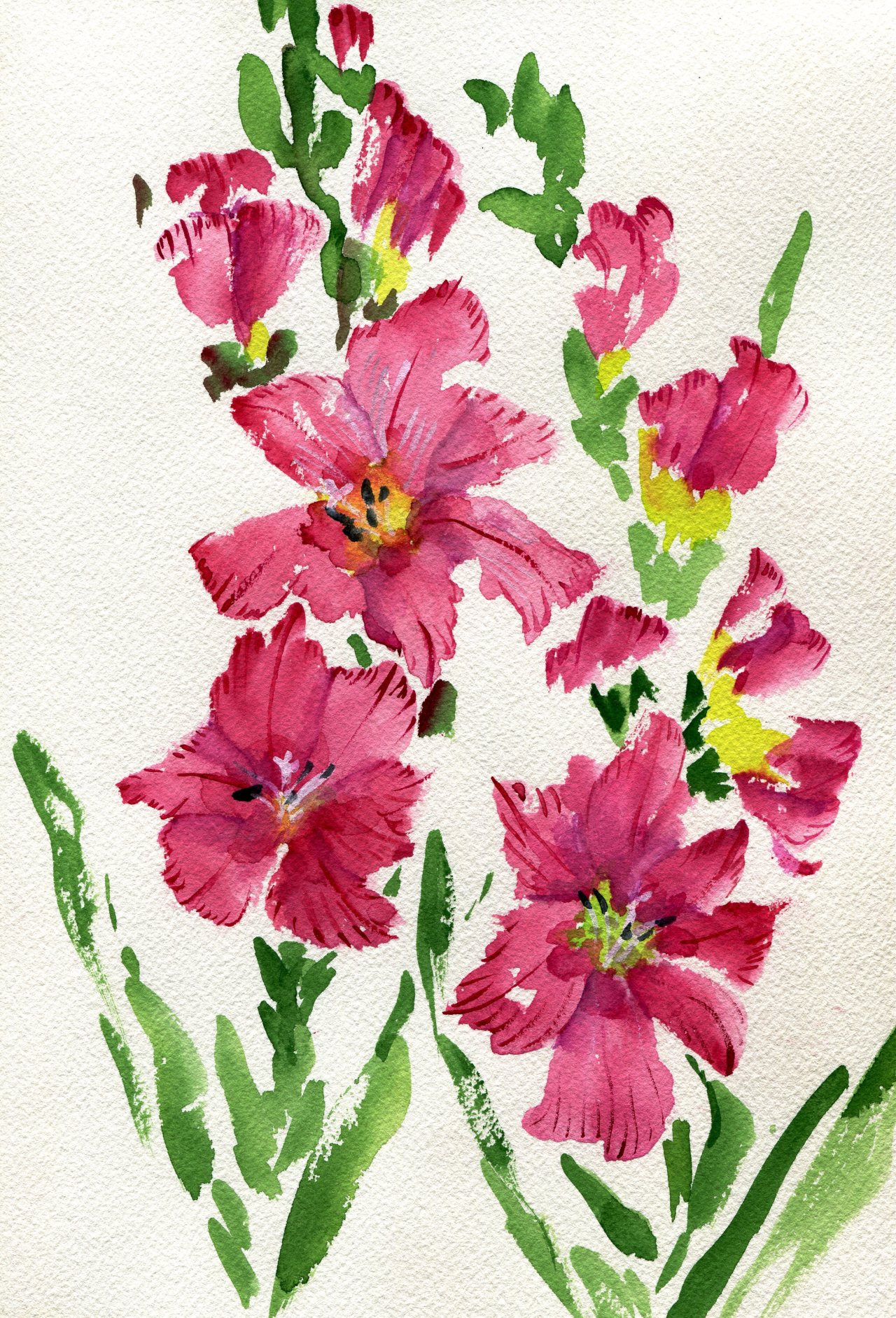 havekat: Glad to Be In The Pink Watercolor, Gouache and Chinese Ink On  Cotton Paper 