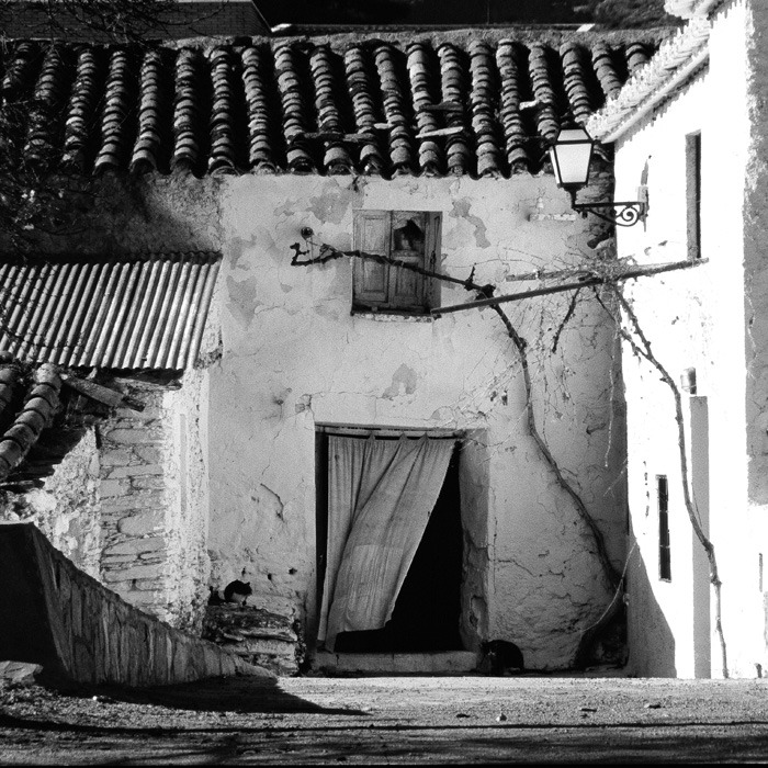 thenwhatelse:the curtain by augenweide