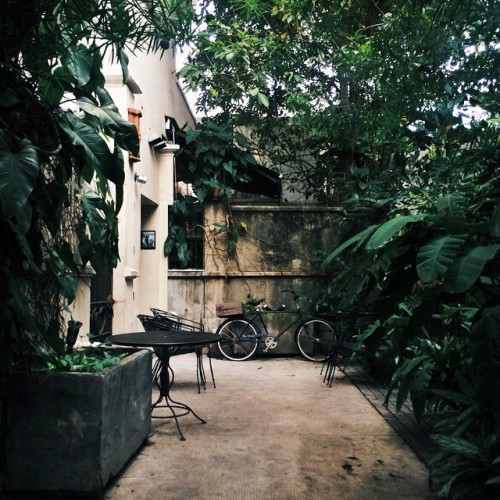 lusttforlifeblog:Leafy nooks at every head turn | #lustforleaves (at Las Clementinas)