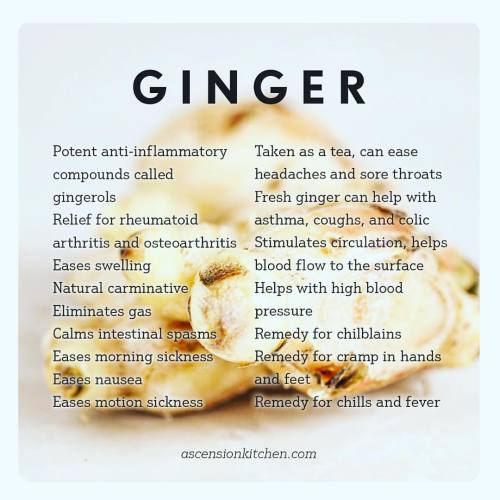 “Basically Ginger is King.” #getsome #ginger