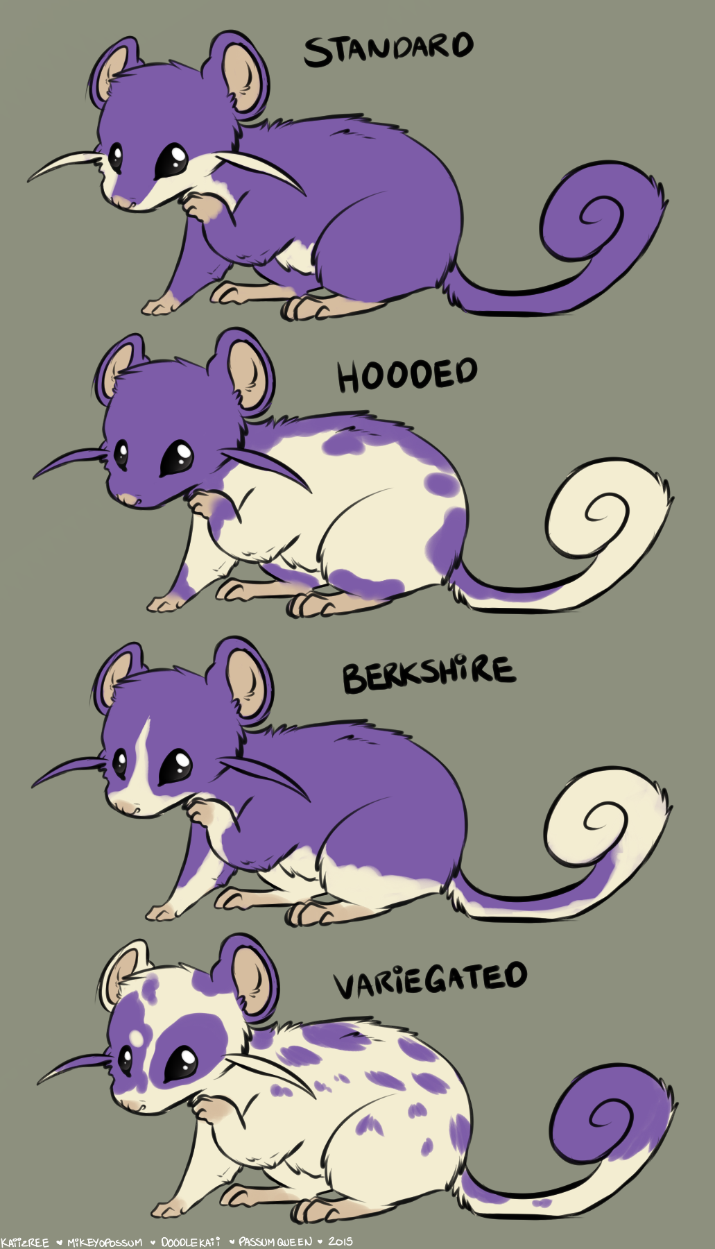 doodlekaii:  Rattata Variations! I hope they havent been done yet…I may expand