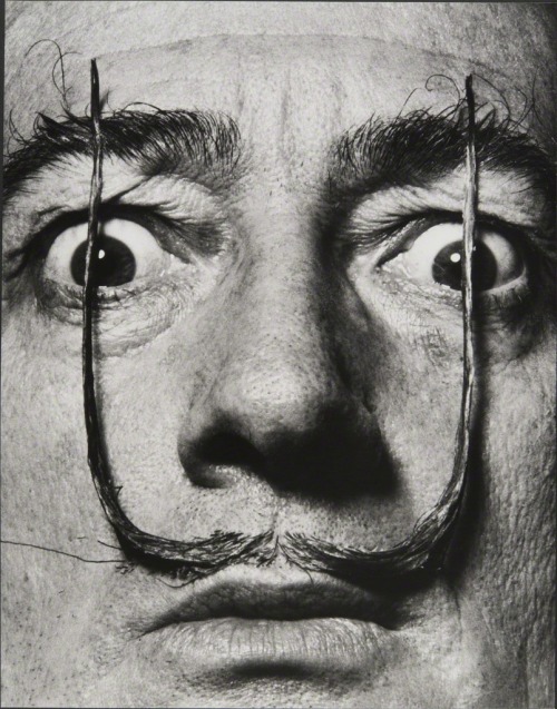 Philippe Halsman Salvador Dalí